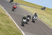Middle Group Silver_Grey Bikes